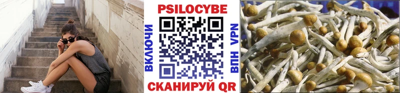 Купить закладки  Пересвет  Галлюциногенные грибы мухоморы 